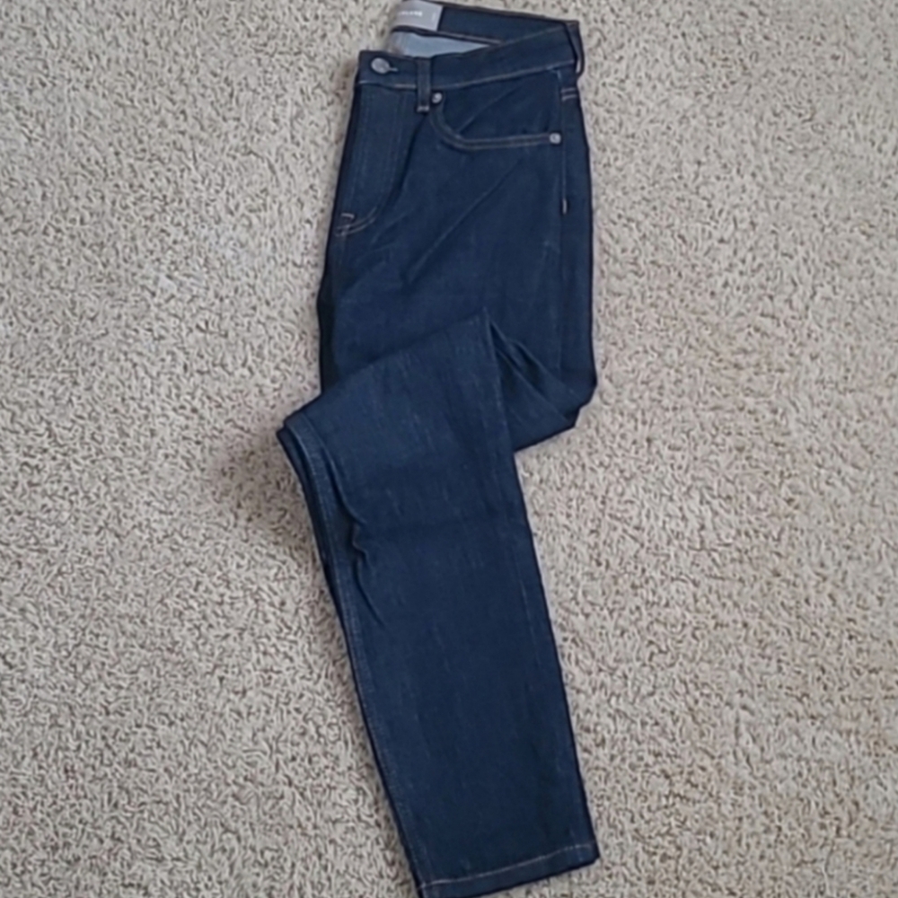 Everlane Darkwash Blue 26 Ankle Skinny Denim Jeans